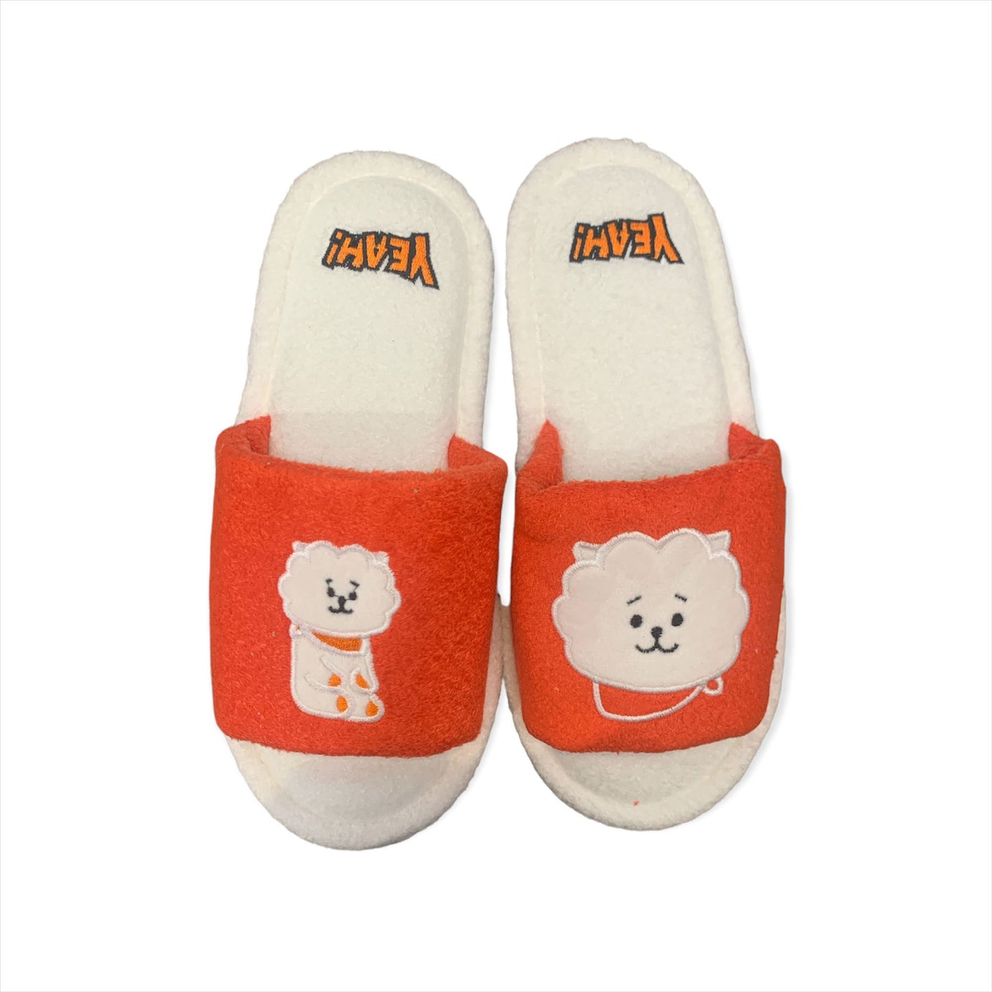 BT21  House Slipper RJ